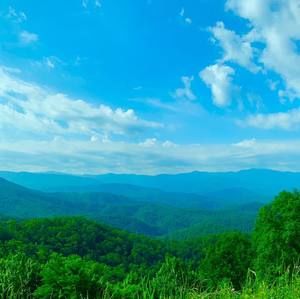 Meet your Posher, Shawn